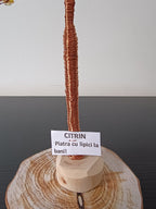 Copac Citrin