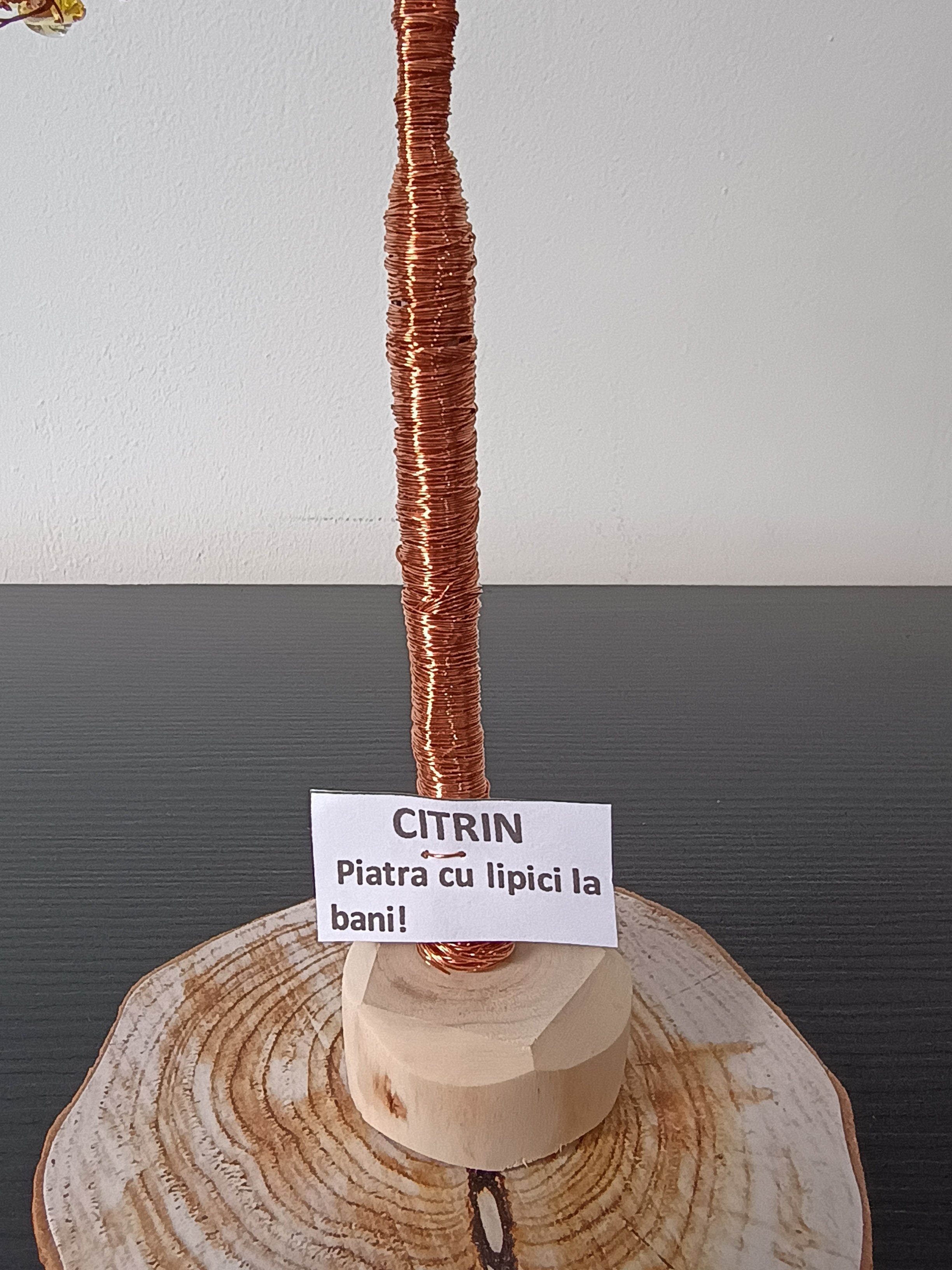 Copac Citrin